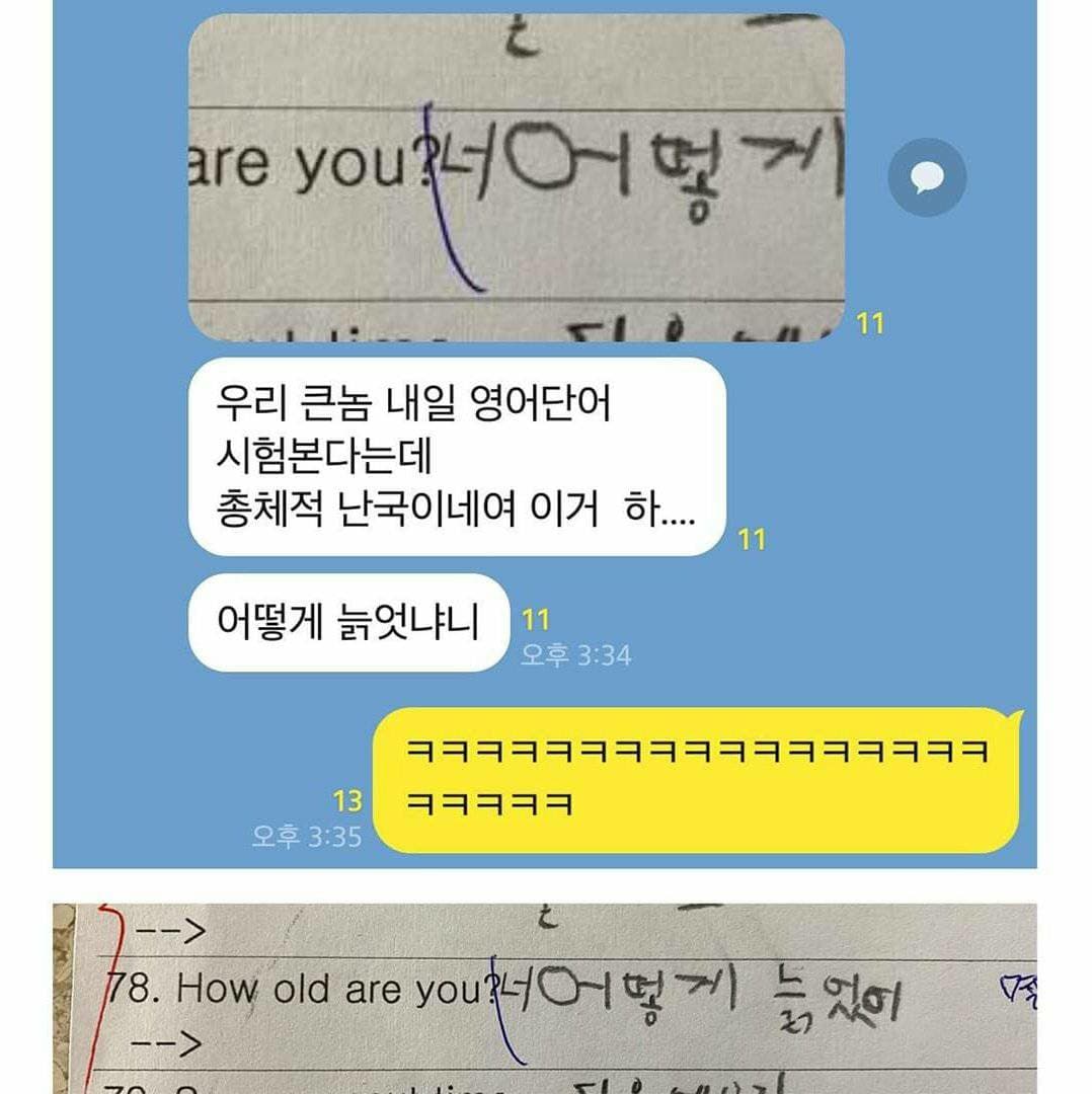 설 연휴 기념 웃긴짤 턴다
