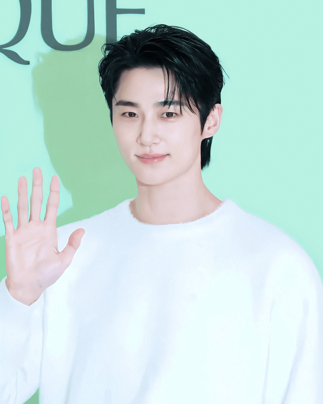 요즘 이런 느낌 나는 남배들 불호