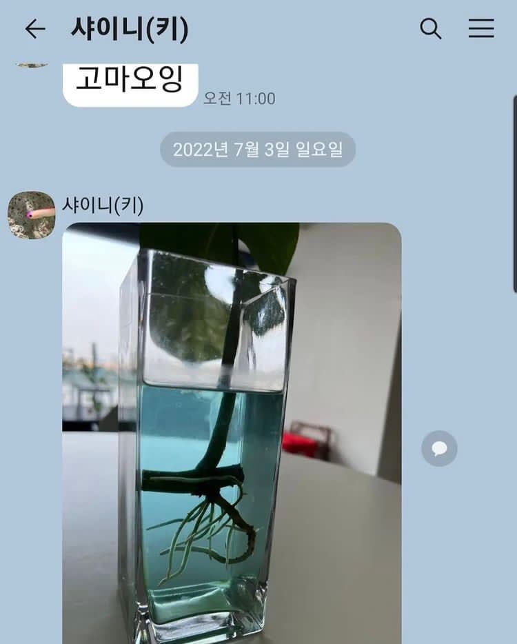 주사이모 인스타에 올라왔던 샤이니 키 관련 게시물들