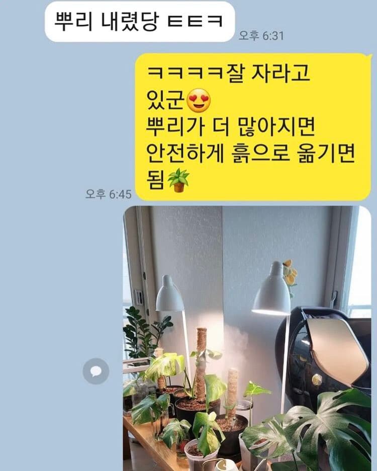 주사이모 인스타에 올라왔던 샤이니 키 관련 게시물들