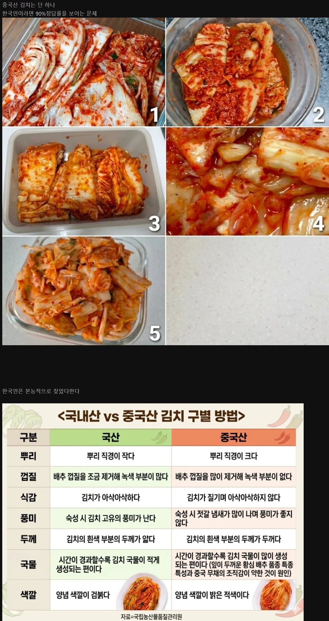 한국인만 찾을수있다는 김치짤