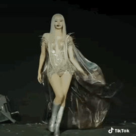 리사 코첼라 무대 ㄷㄷ