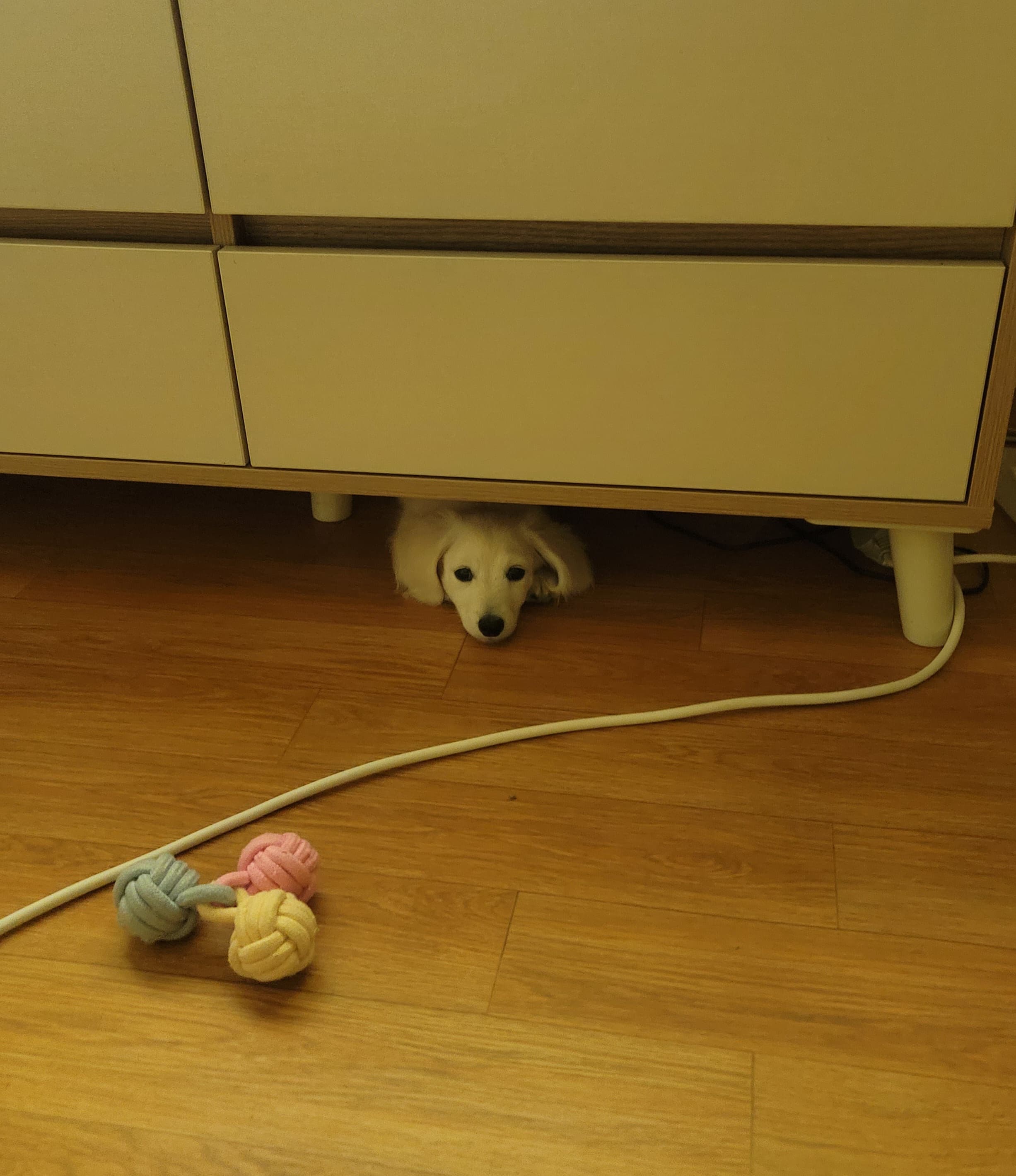 숨었는데  안보이겠지??