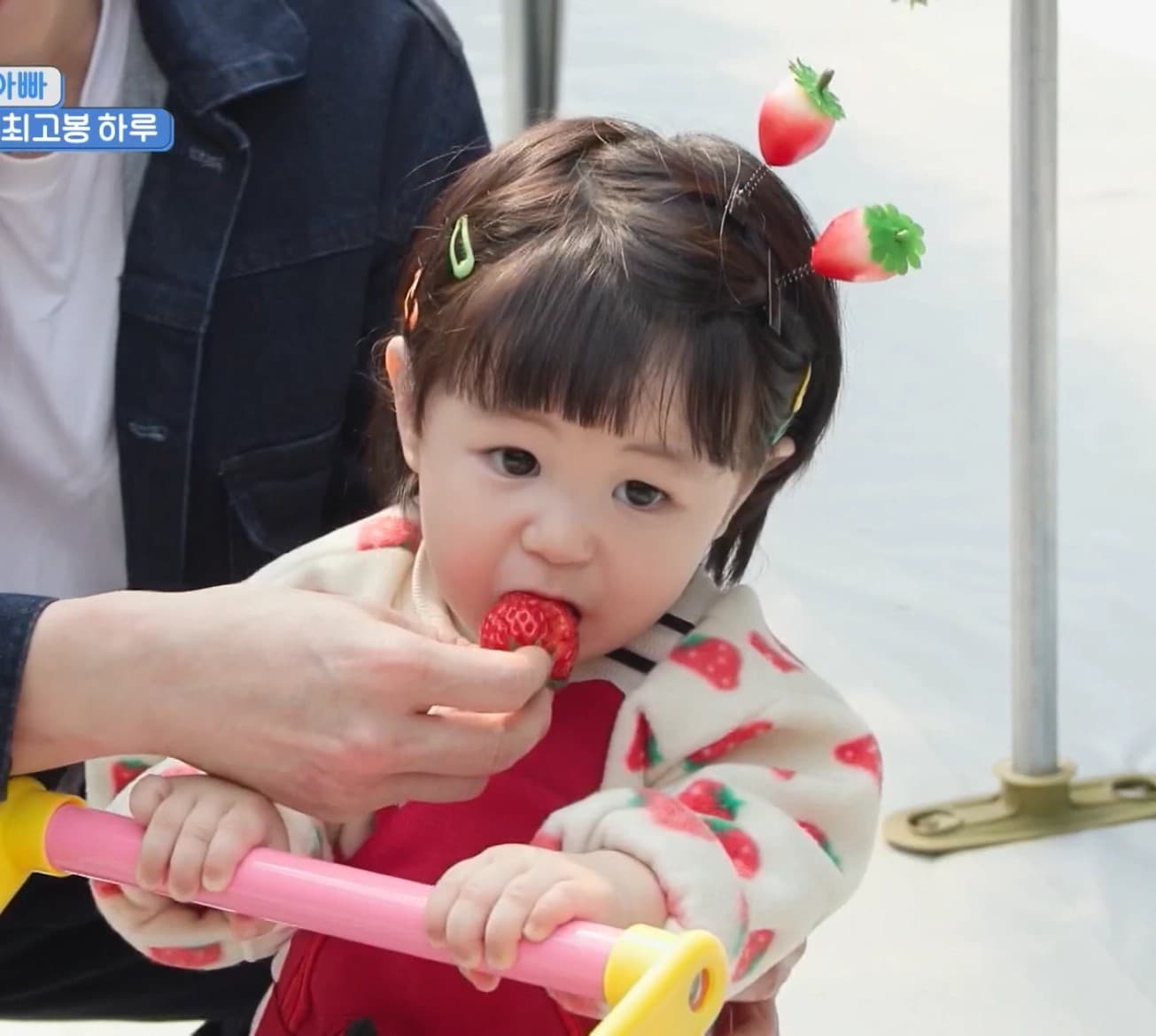 심하루 폭풍 성장 근황