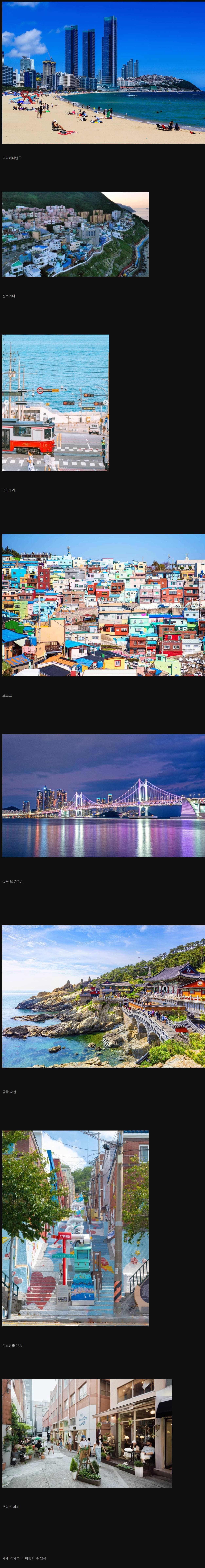 외국인들이 부산 오면 환장하는 이유